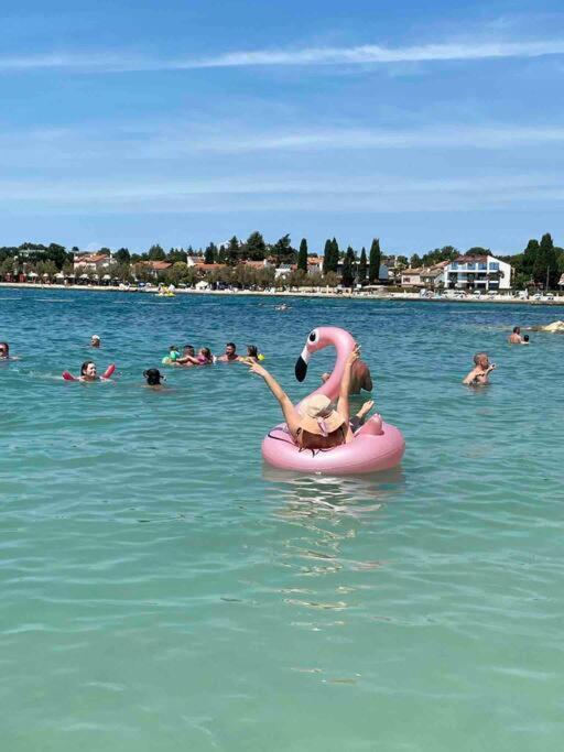 Appartamento Incantevole 300M Dal Mare Λινιάνο Σαμπιαντόρο Εξωτερικό φωτογραφία